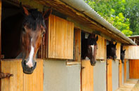 free Clwydyfagwyr stable construction quotes